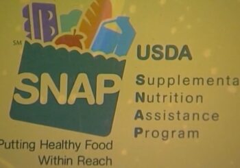 UPDATED SNAP INFORMATION